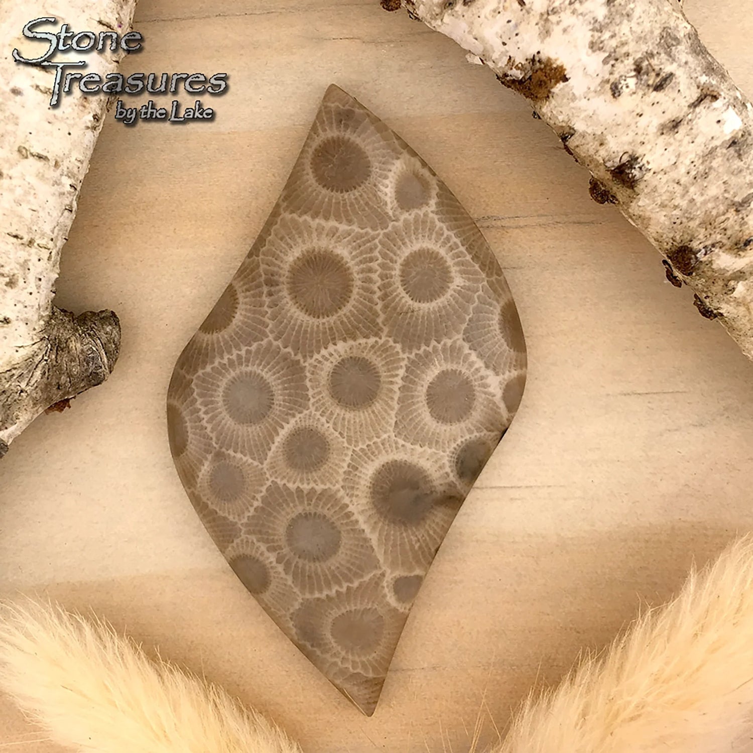 Petoskey Stone Cabochon - Stone Treasures by the Lake