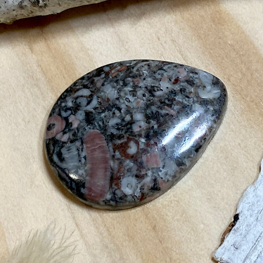 Crinoid Fossil Cabochon Front View II - Stone Treasures by the Lake