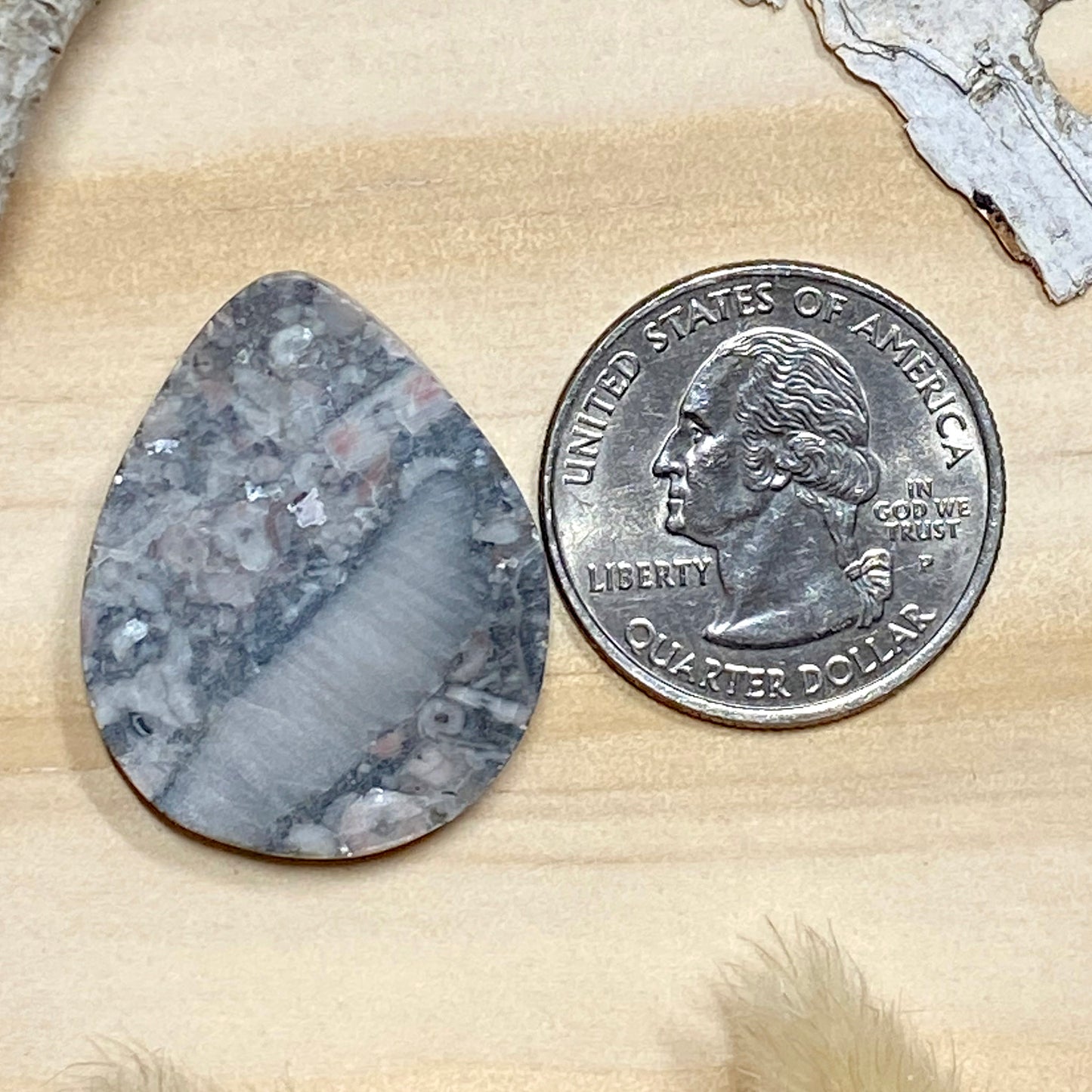 Crinoid Fossil Cabochon Back View - Stone Treasures by the Lake
