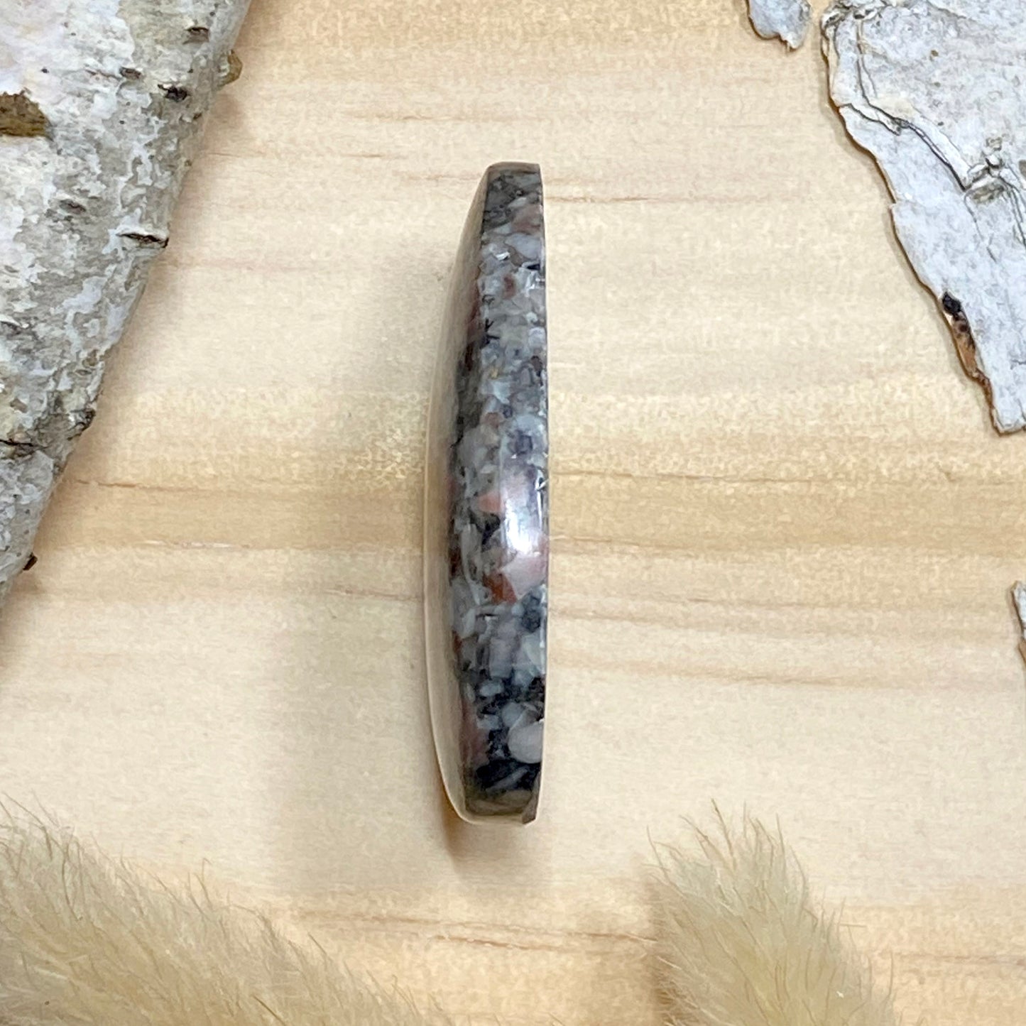 Crinoid Fossil Cabochon Side View - Stone Treasures by the Lake