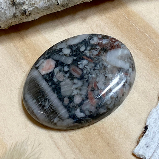 Crinoid Fossil Cabochon Front View II - Stone Treasures by the Lake
