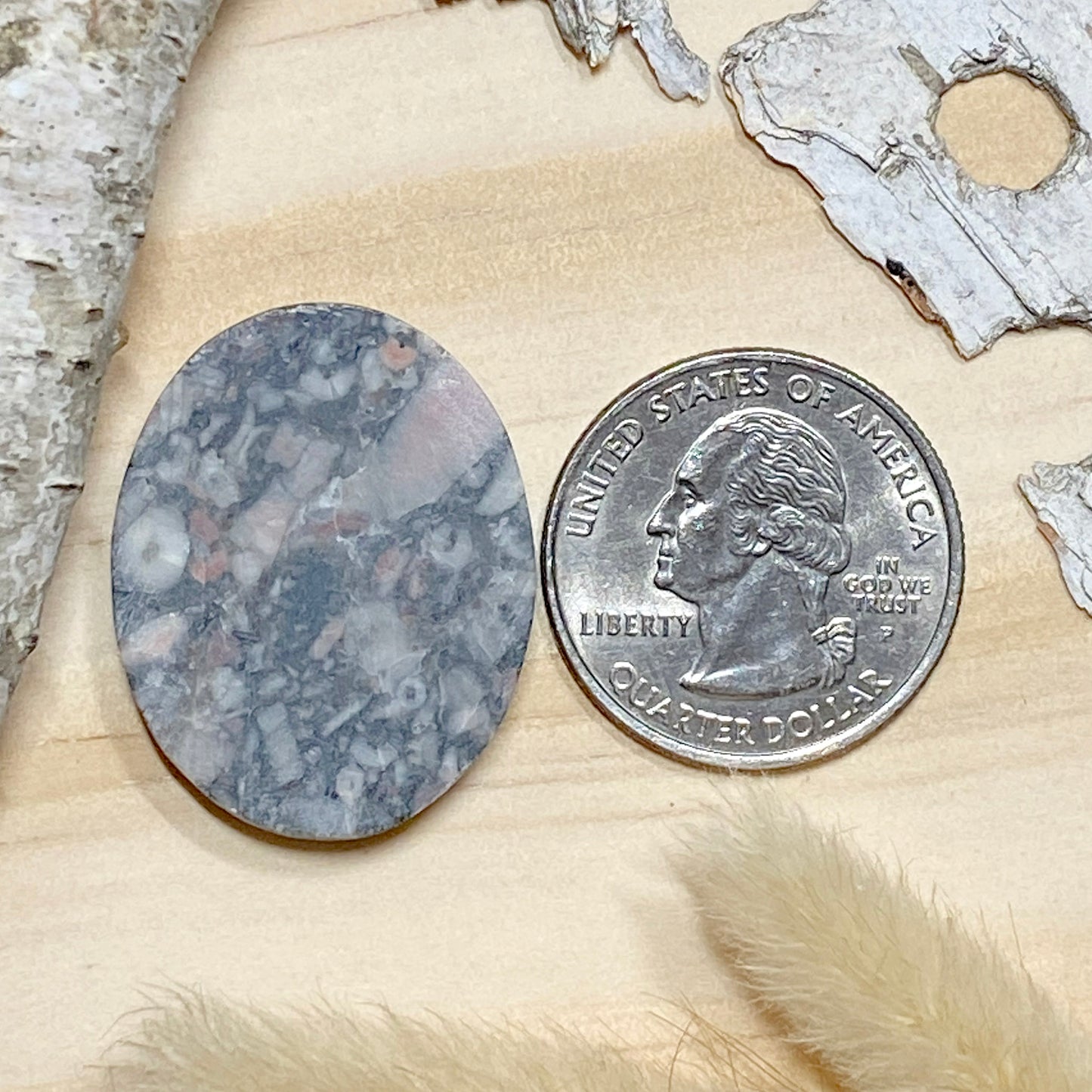 Crinoid Fossil Cabochon Back View - Stone Treasures by the Lake