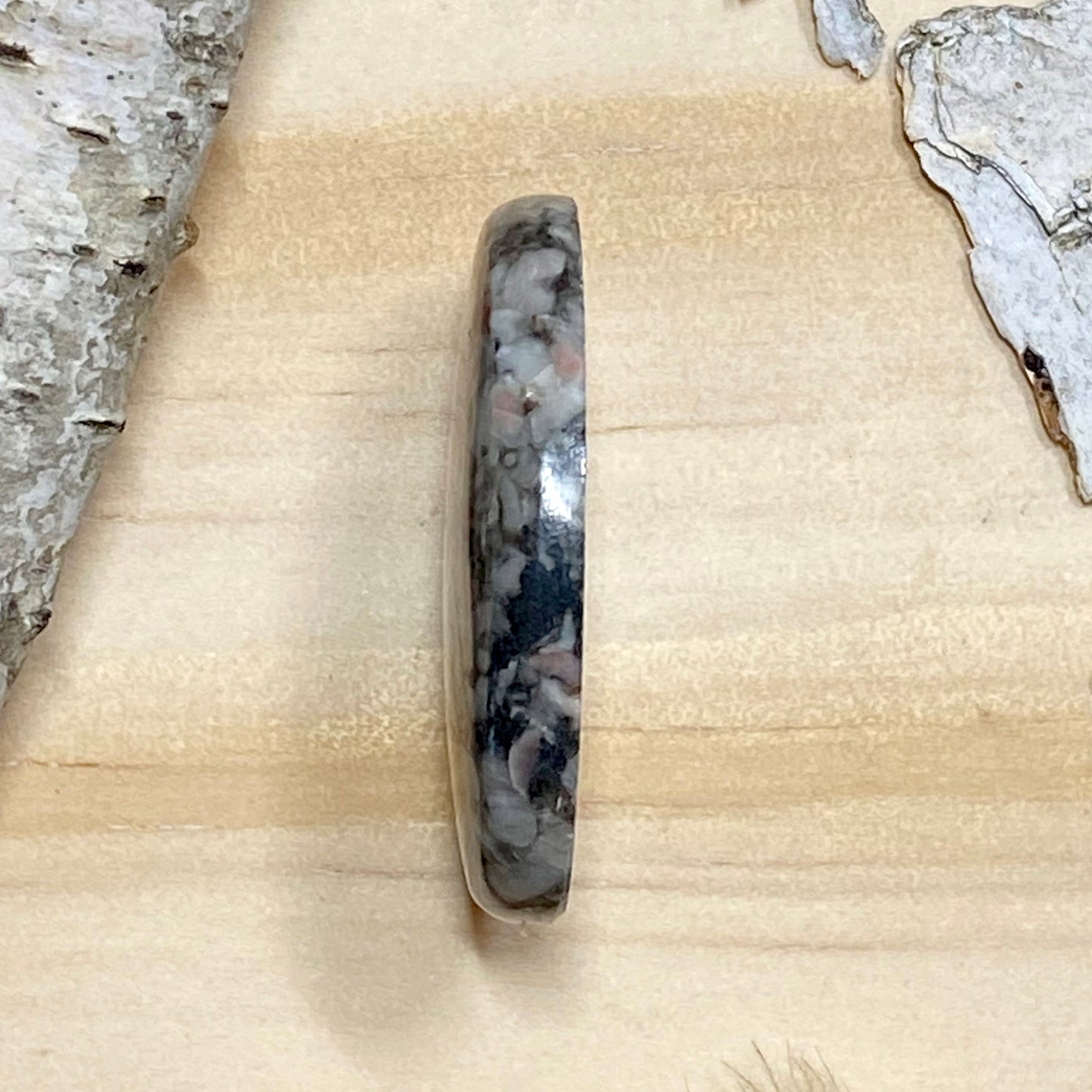 Crinoid Fossil Cabochon Side View - Stone Treasures by the Lake
