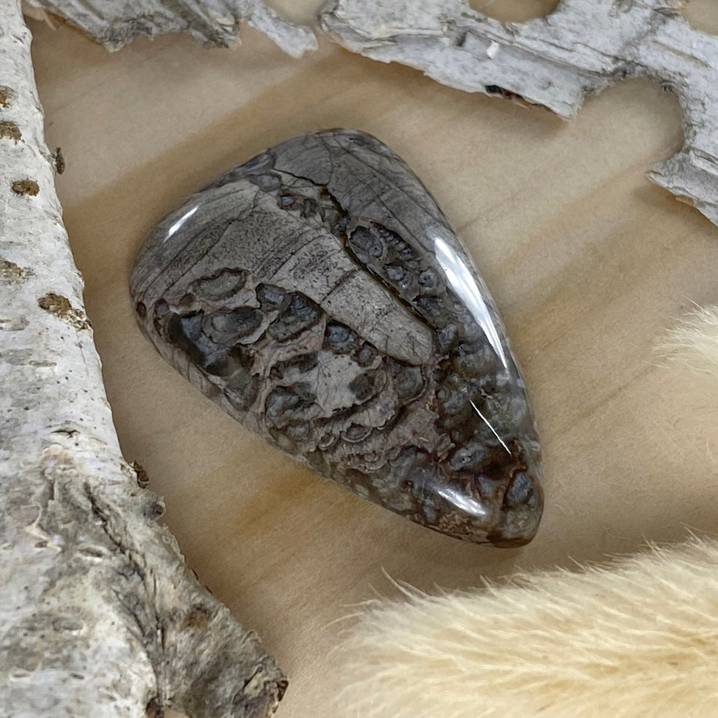 Mushroom Picture Rock Cabochon Front View - Stone Treasures by the Lake