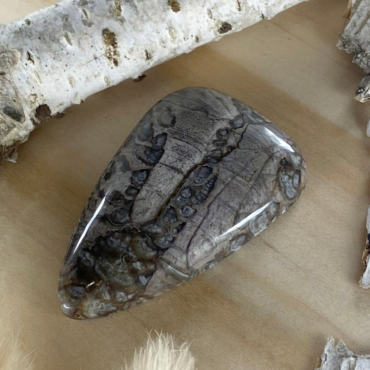 Mushroom Picture Rock Cabochon Front View II - Stone Treasures by the Lake