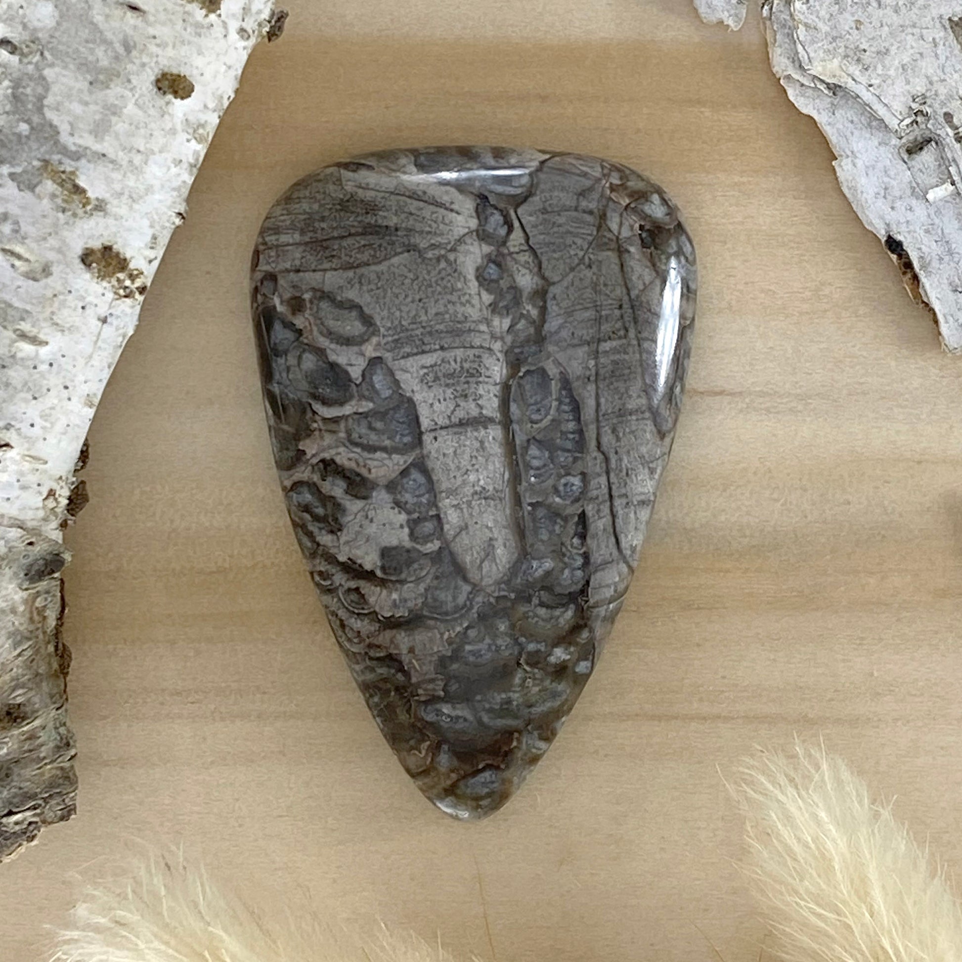Mushroom Picture Rock Cabochon Front View III - Stone Treasures by the Lake