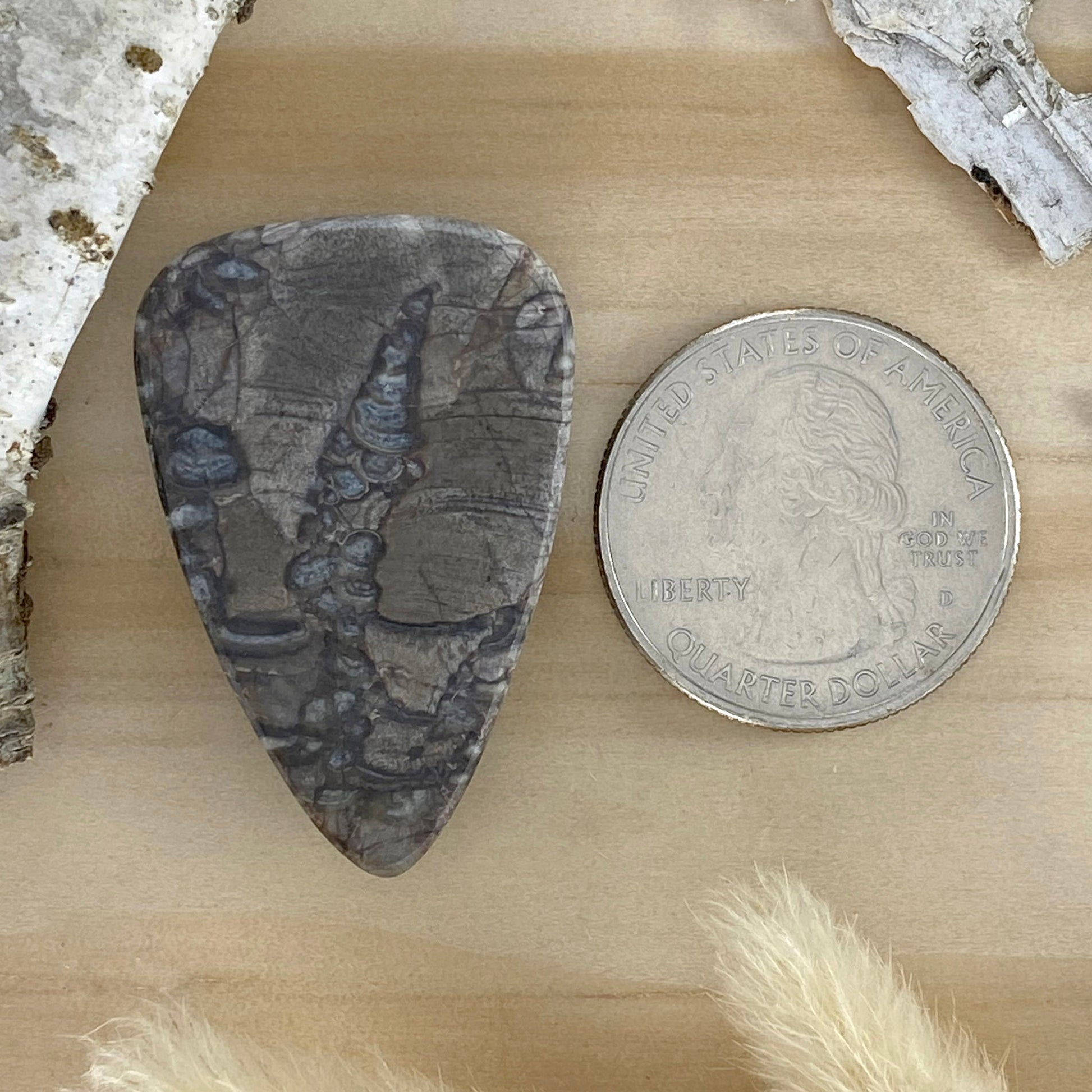 Mushroom Picture Rock Cabochon Back View - Stone Treasures by the Lake