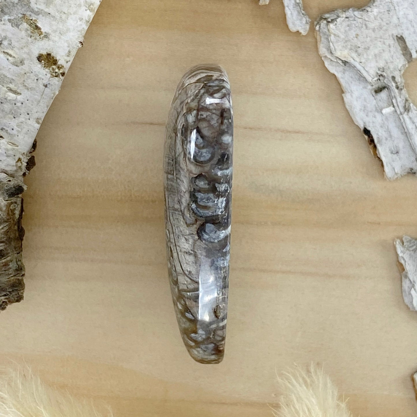Mushroom Picture Rock Cabochon Side View - Stone Treasures by the Lake