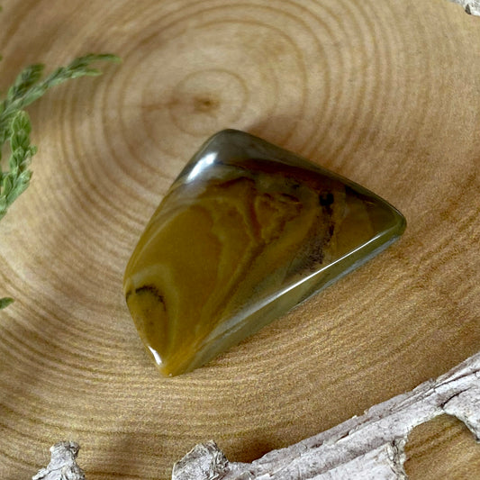 Owyhee Picture Jasper Cabochon Front View II - Stone Treasures by the Lake