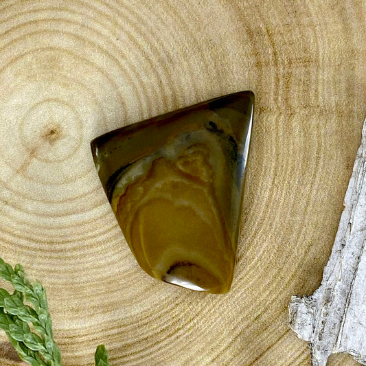 Owyhee Picture Jasper Cabochon Front View - Stone Treasures by the Lake