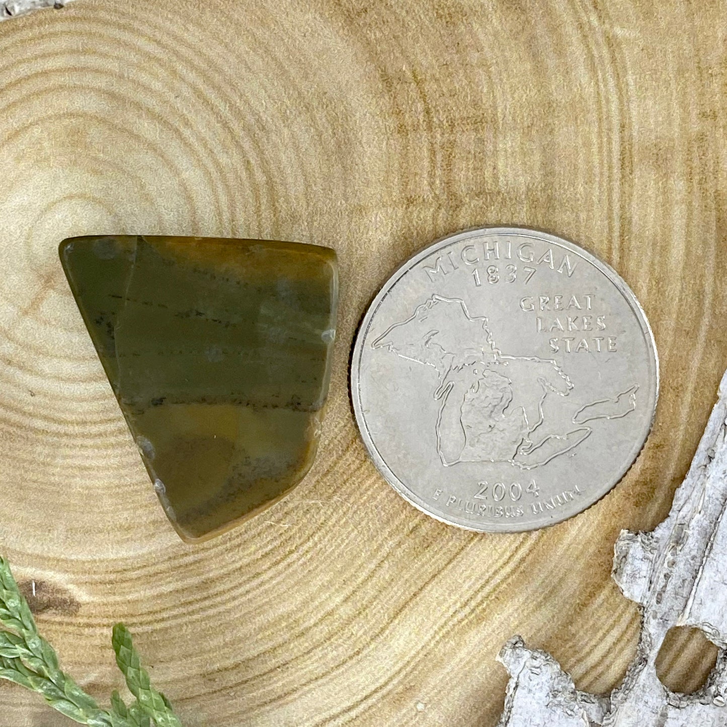 Owyhee Picture Jasper Cabochon Back View - Stone Treasures by the Lake