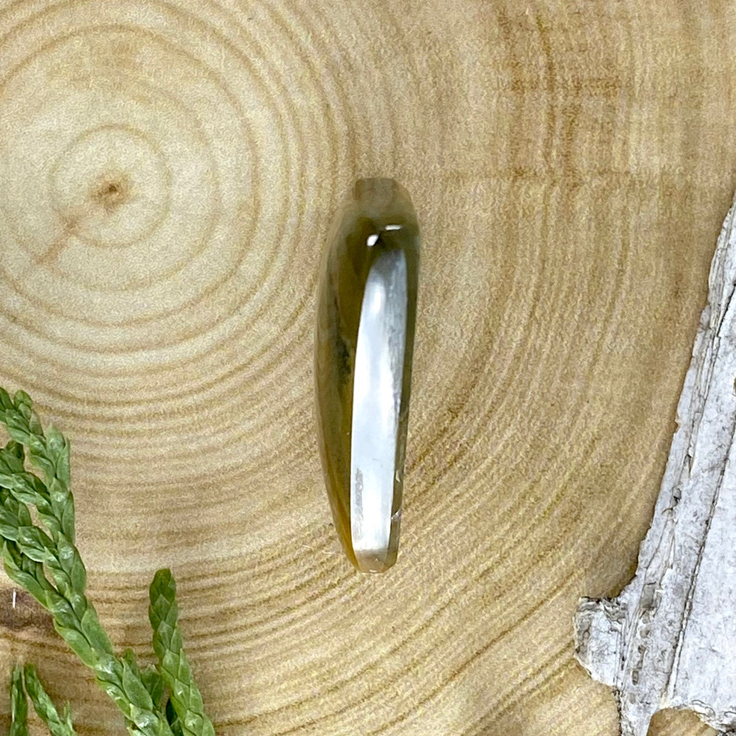 Owyhee Picture Jasper Cabochon Side View - Stone Treasures by the Lake