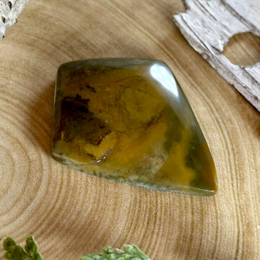 Owyhee Picture Jasper Cabochon Front View II - Stone Treasures by the Lake