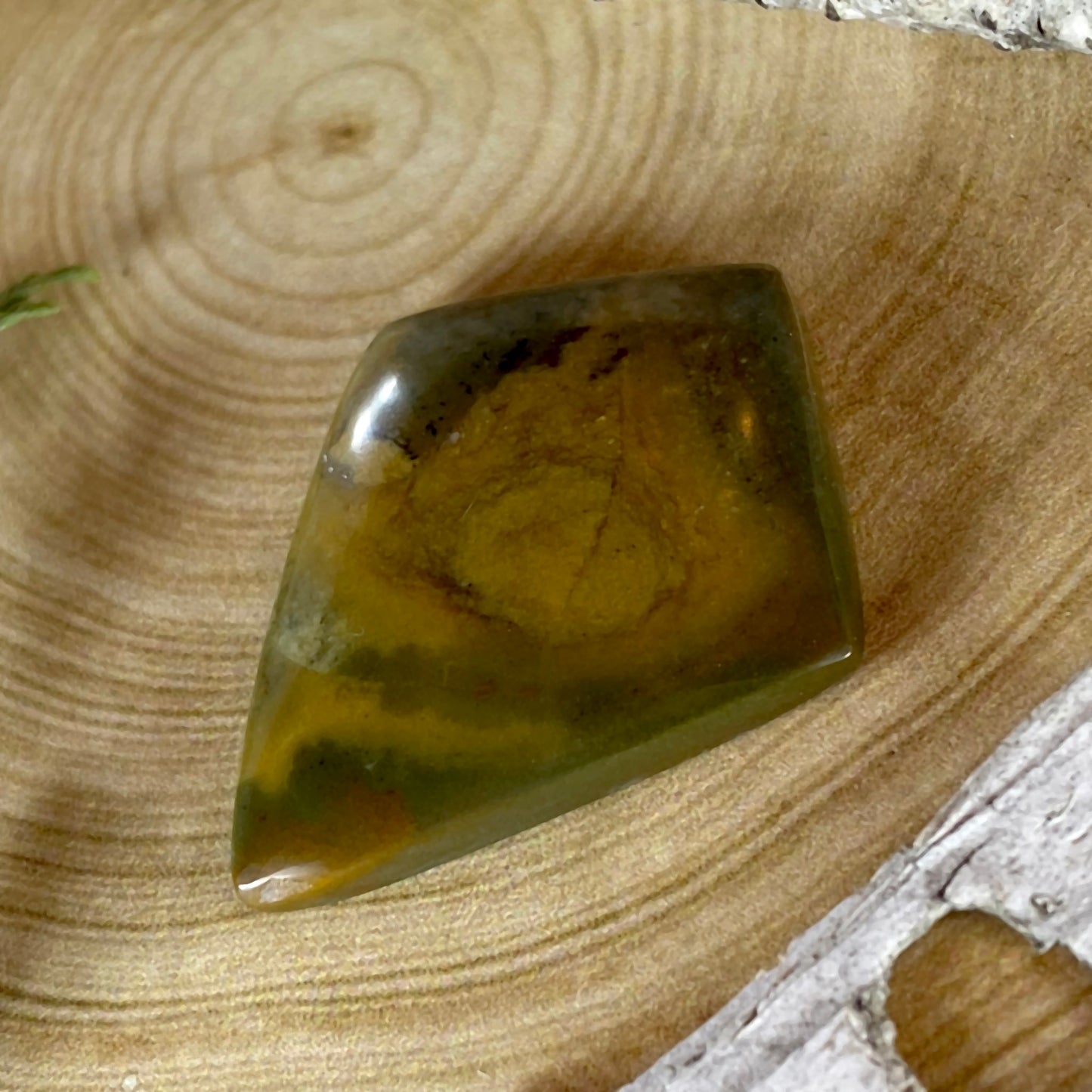 Owyhee Picture Jasper Cabochon Front View III - Stone Treasures by the Lake
