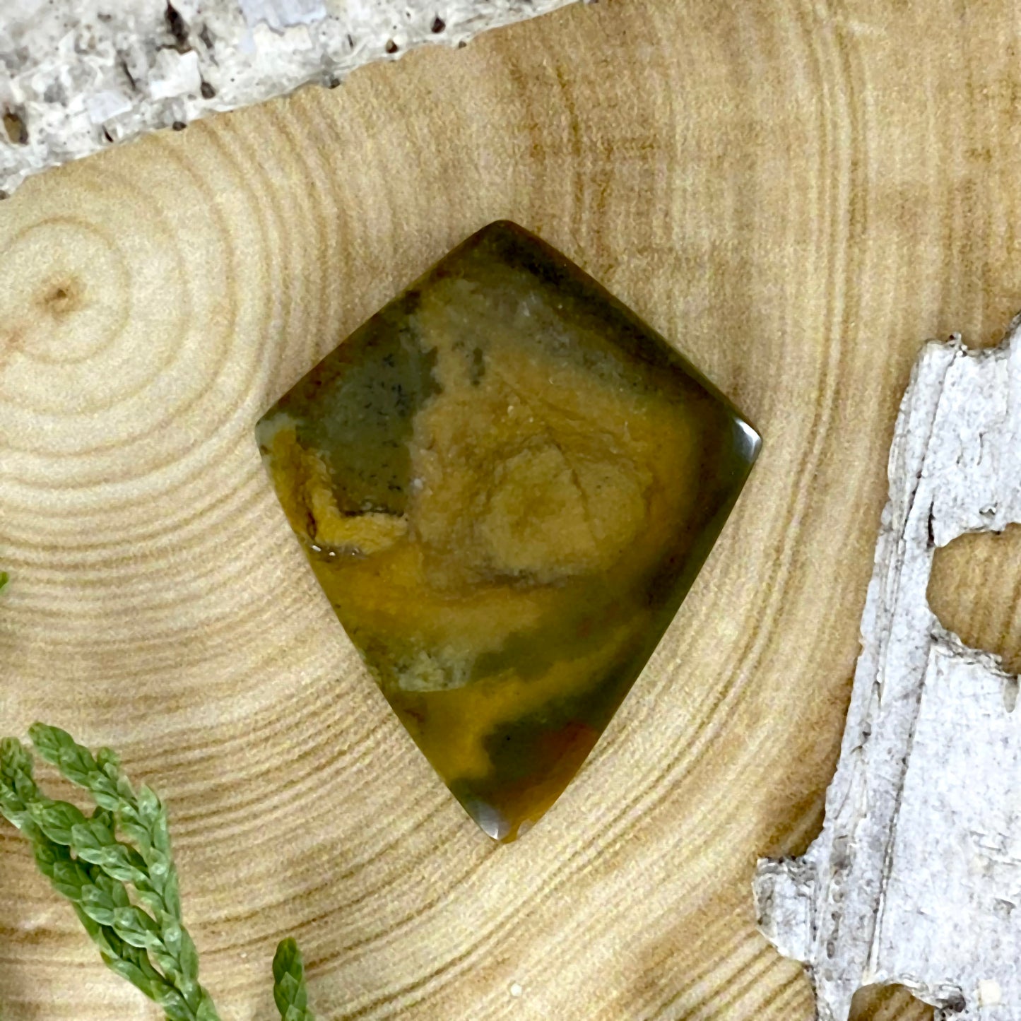 Owyhee Picture Jasper Cabochon Front View - Stone Treasures by the Lake