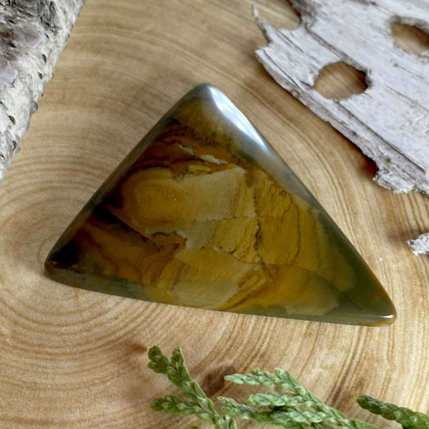 Owyhee Picture Jasper Cabochon Front View III - Stone Treasures by the Lake