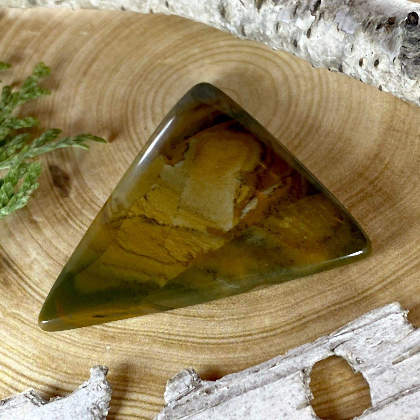 Owyhee Picture Jasper Cabochon Front View II - Stone Treasures by the Lake