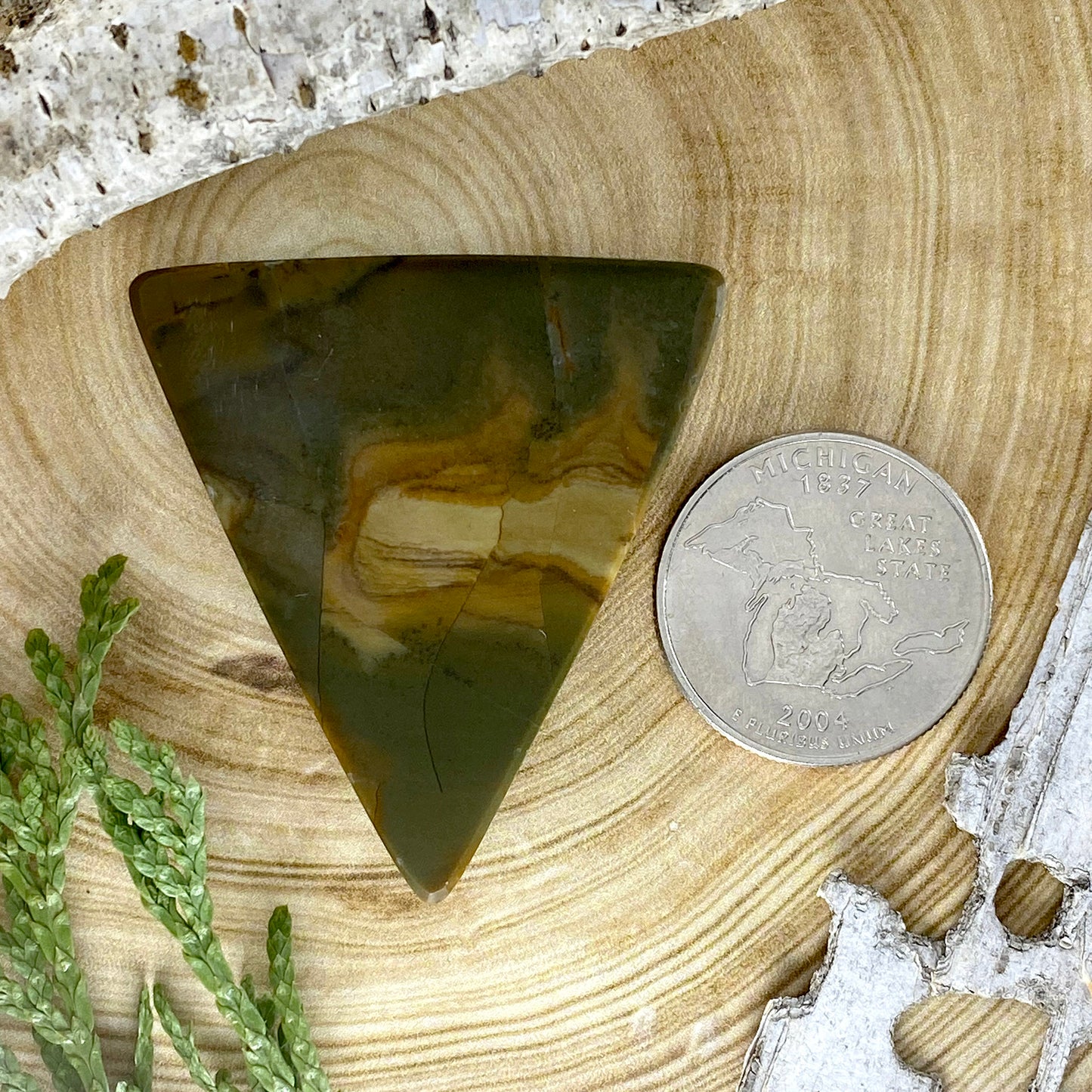 Owyhee Picture Jasper Cabochon Back View - Stone Treasures by the Lake