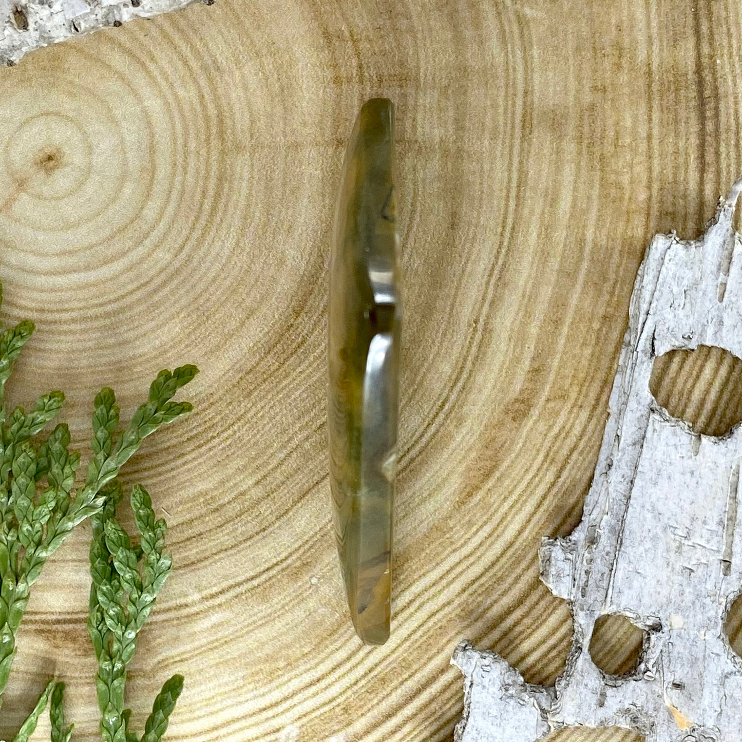 Owyhee Picture Jasper Cabochon Side View - Stone Treasures by the Lake