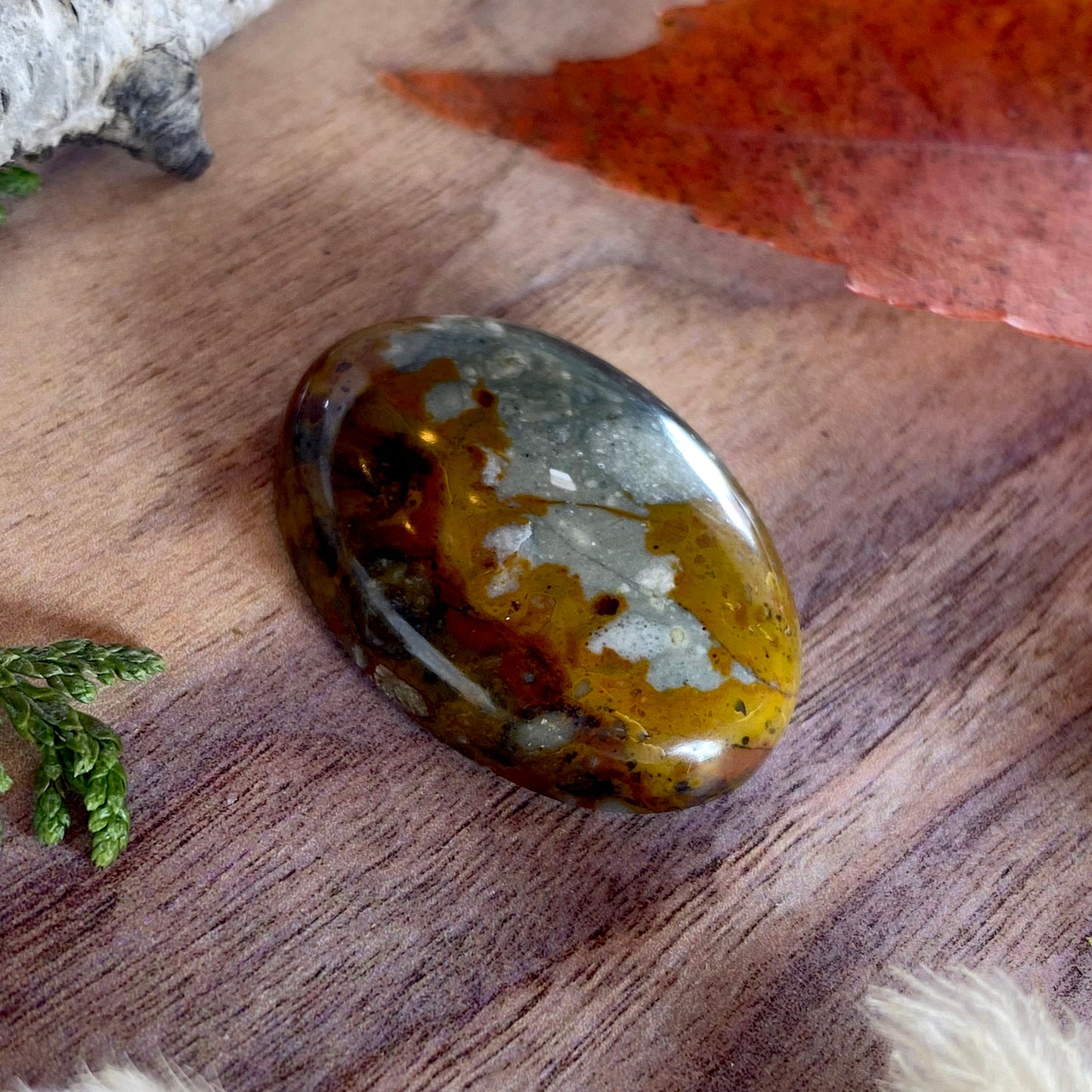 Rocky Butte Picture Jasper Cabochon Front View II - Stone Treasures by the Lake