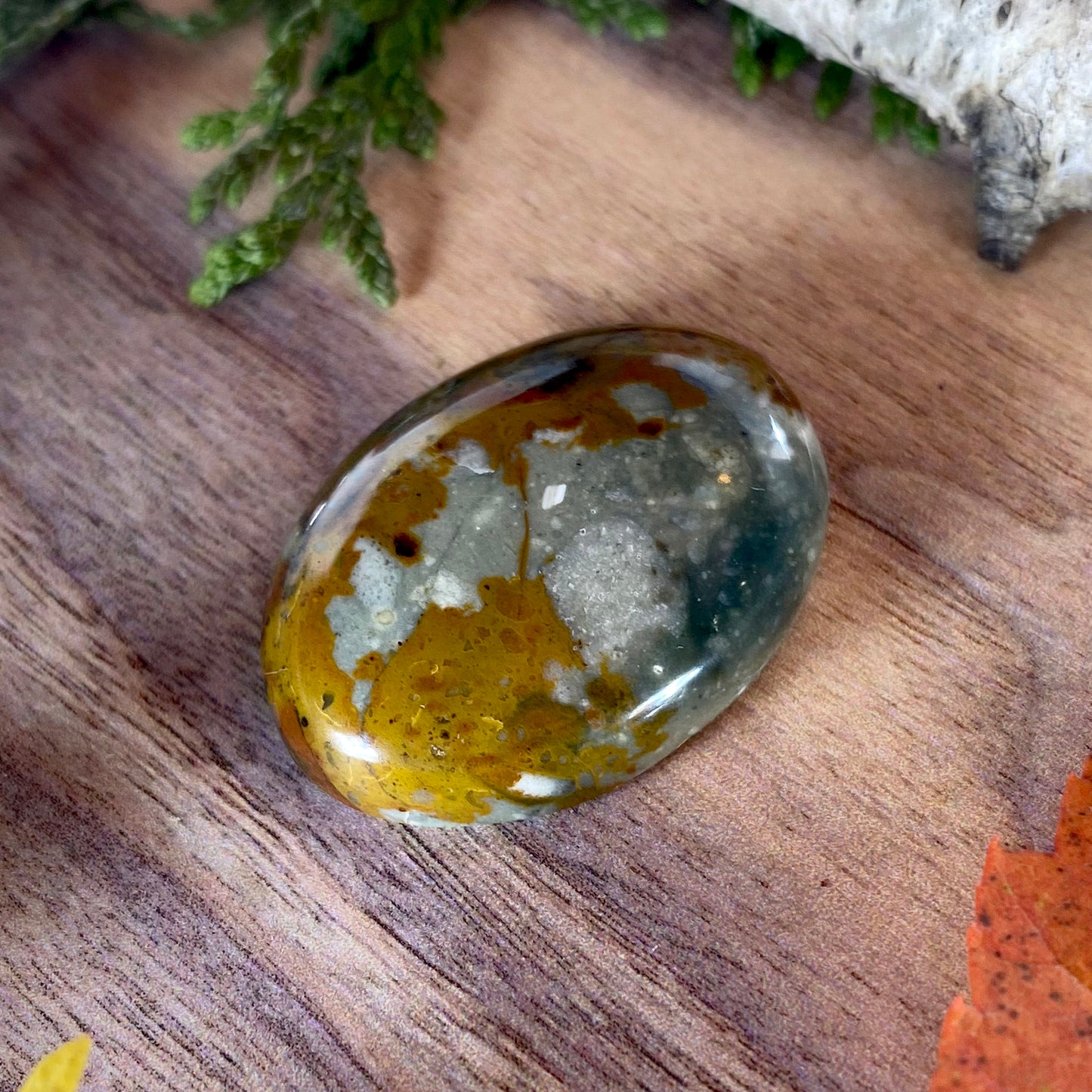 Rocky Butte Picture Jasper Cabochon Front View III - Stone Treasures by the Lake