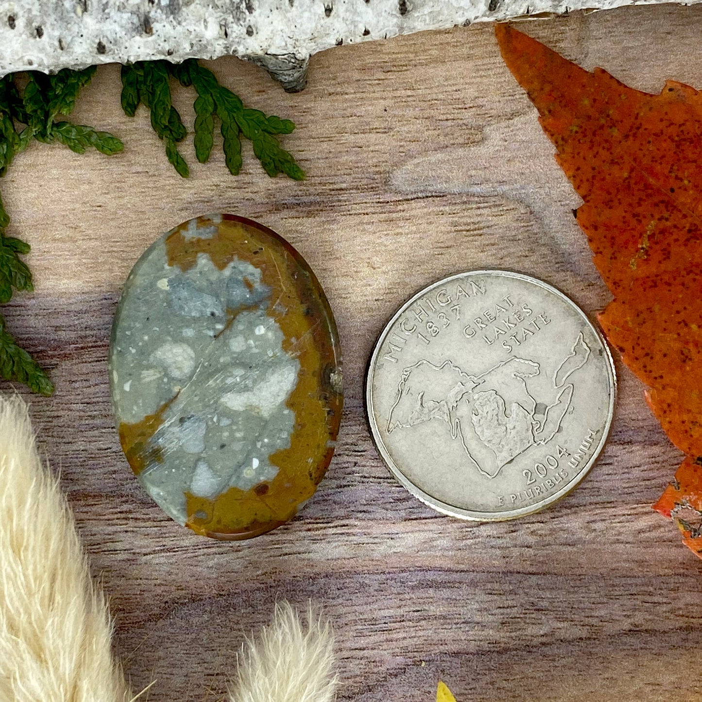 Rocky Butte Picture Jasper Cabochon Back View - Stone Treasures by the Lake