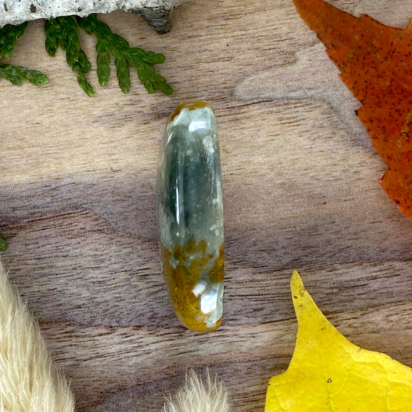 Rocky Butte Picture Jasper Cabochon Side View - Stone Treasures by the Lake