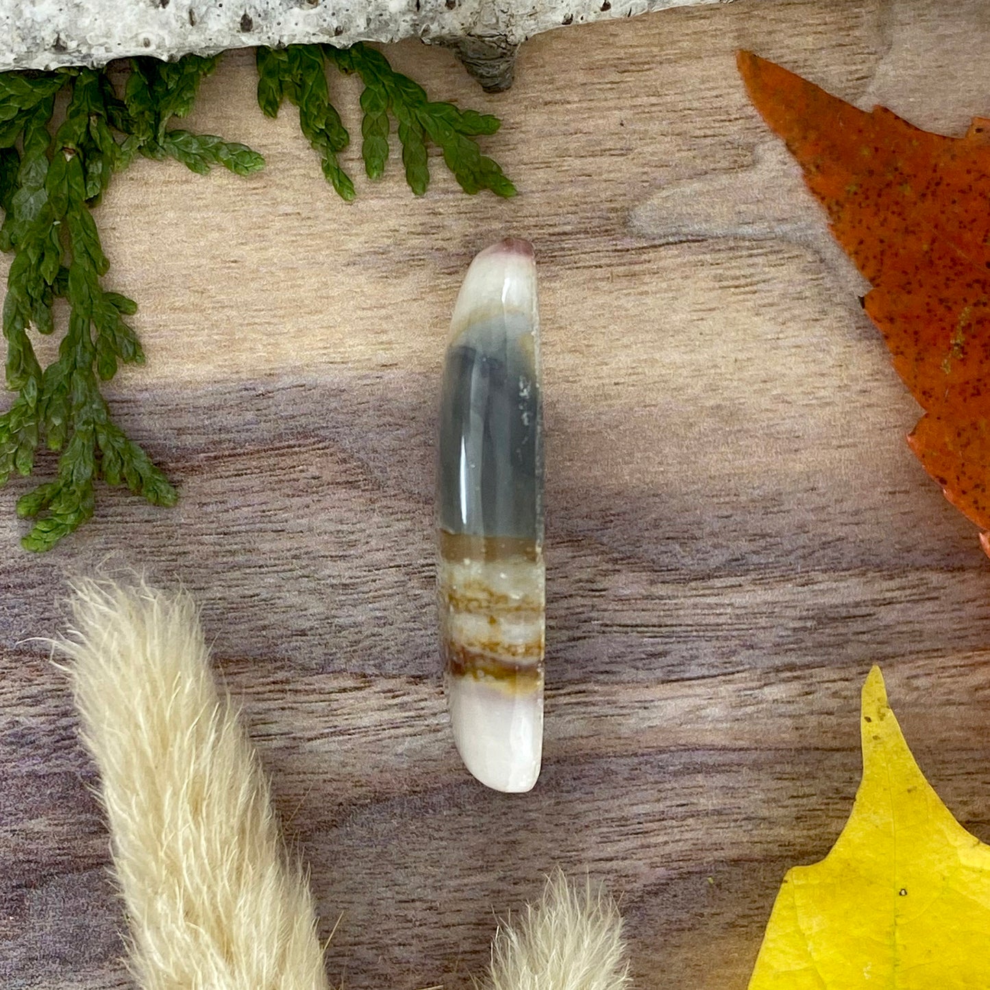 Polychrome Jasper Cabochon Side View - Stone Treasures by the Lake