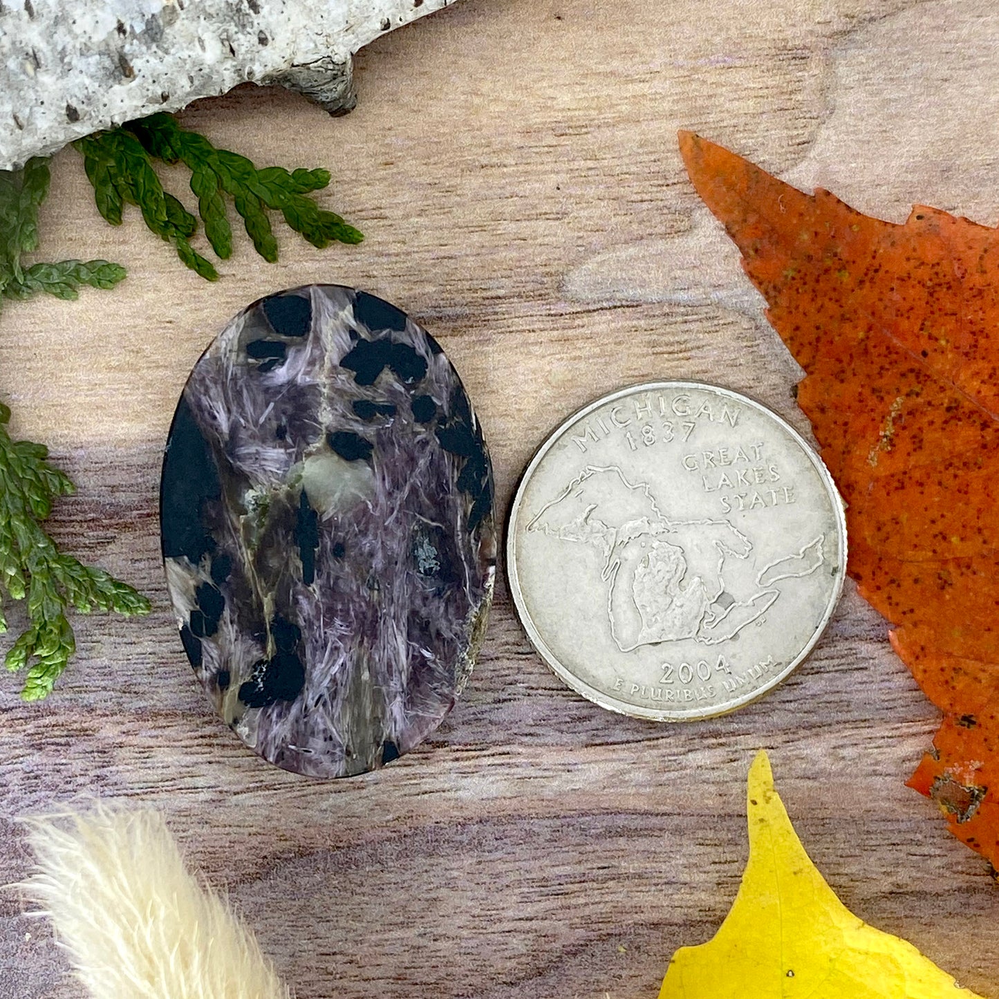 Charoite Cabochon Back View - Stone Treasures by the Lake