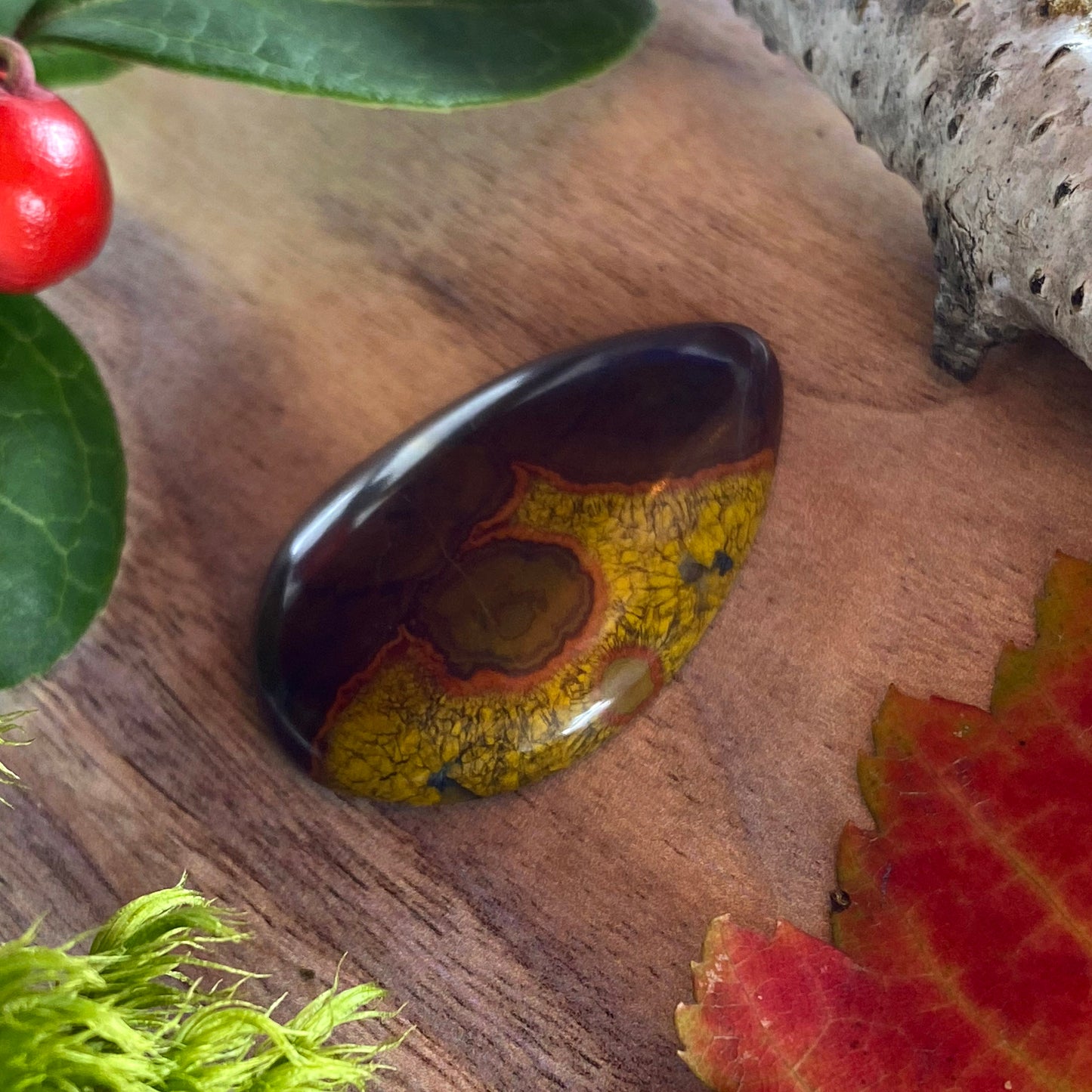 Morgan Hill Poppy Jasper Cabochon Front View III - Stone Treasures by the Lake