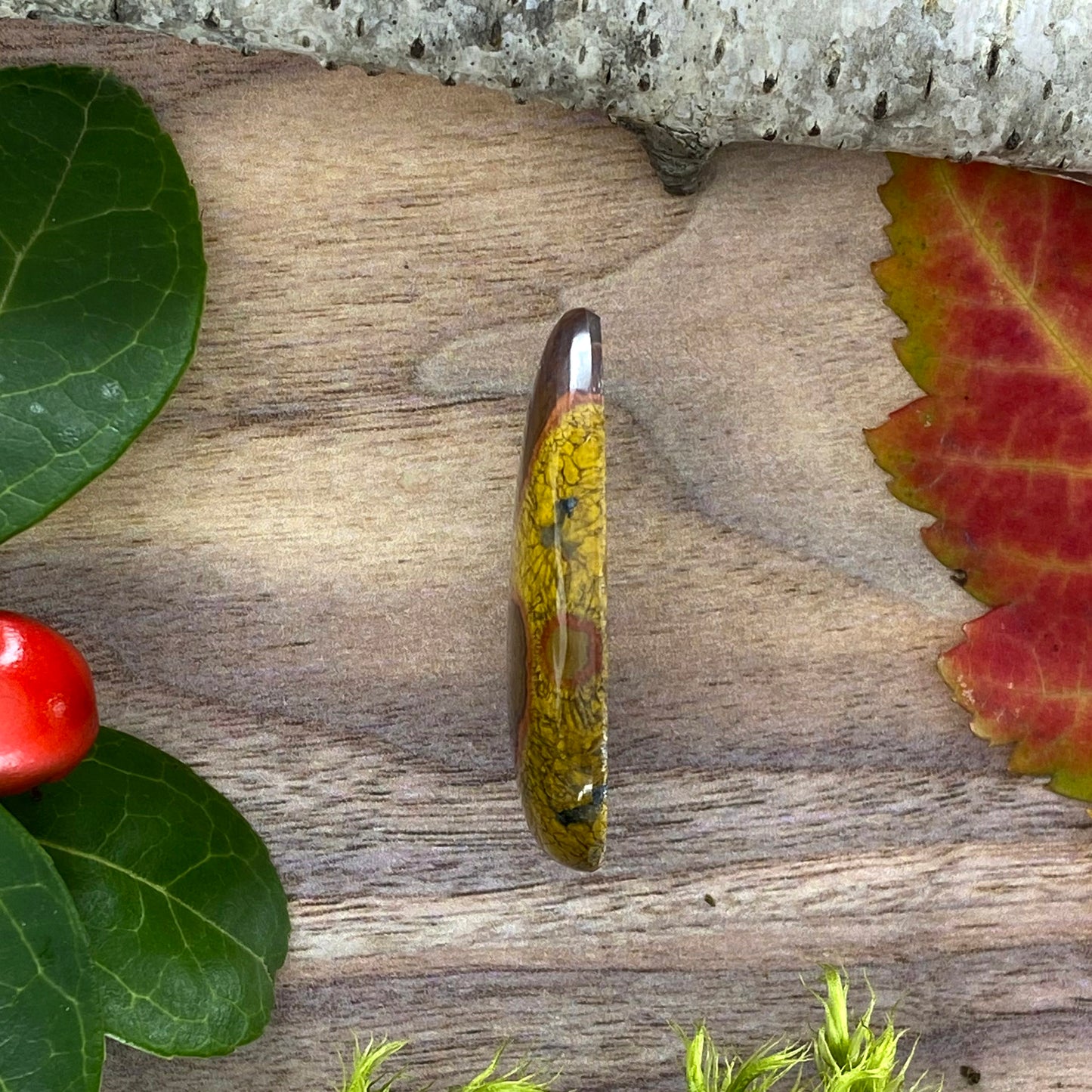 Morgan Hill Poppy Jasper Cabochon Side View - Stone Treasures by the Lake