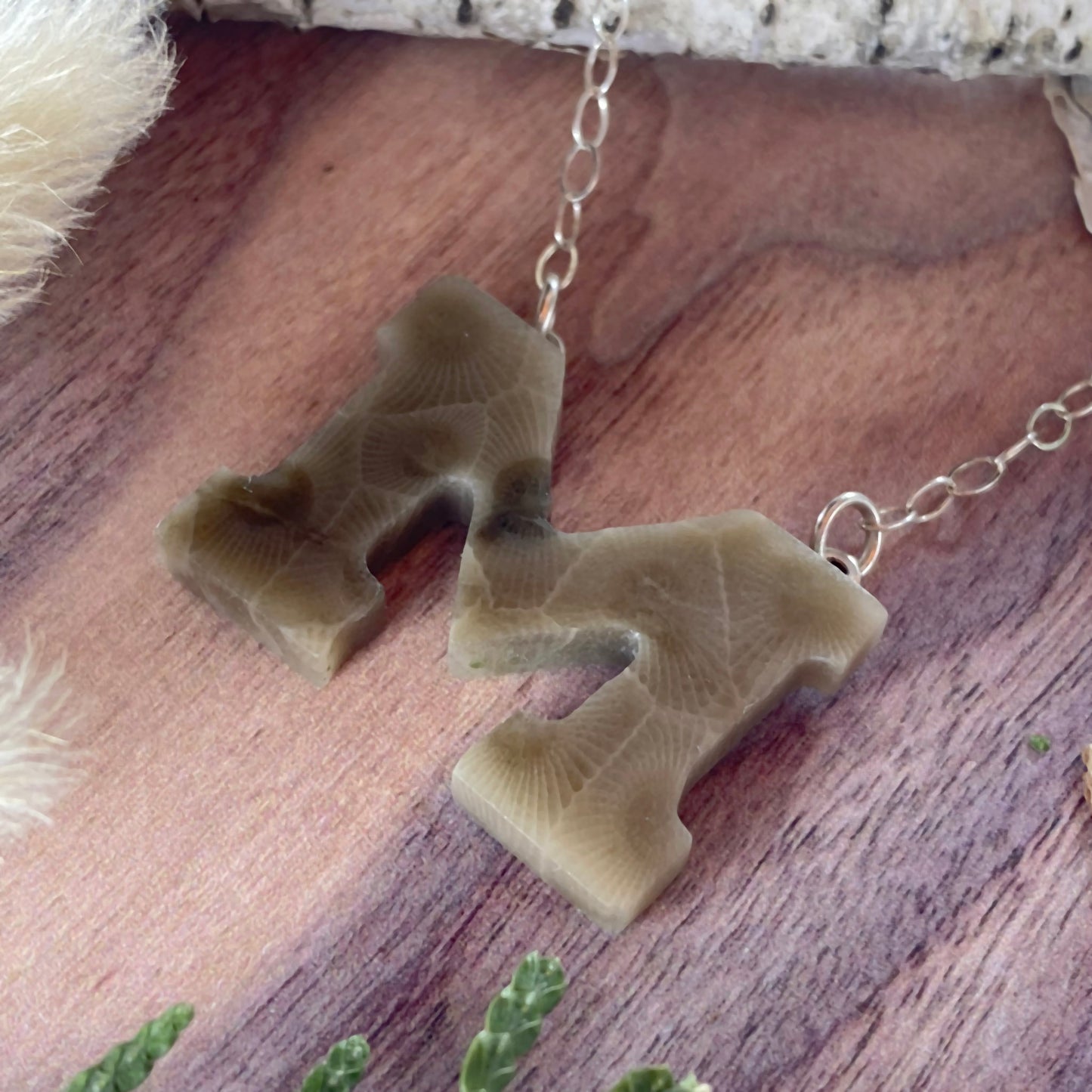 Michigan Petoskey Stone Pendant Necklace Front View III - Stone Treasures by the Lake