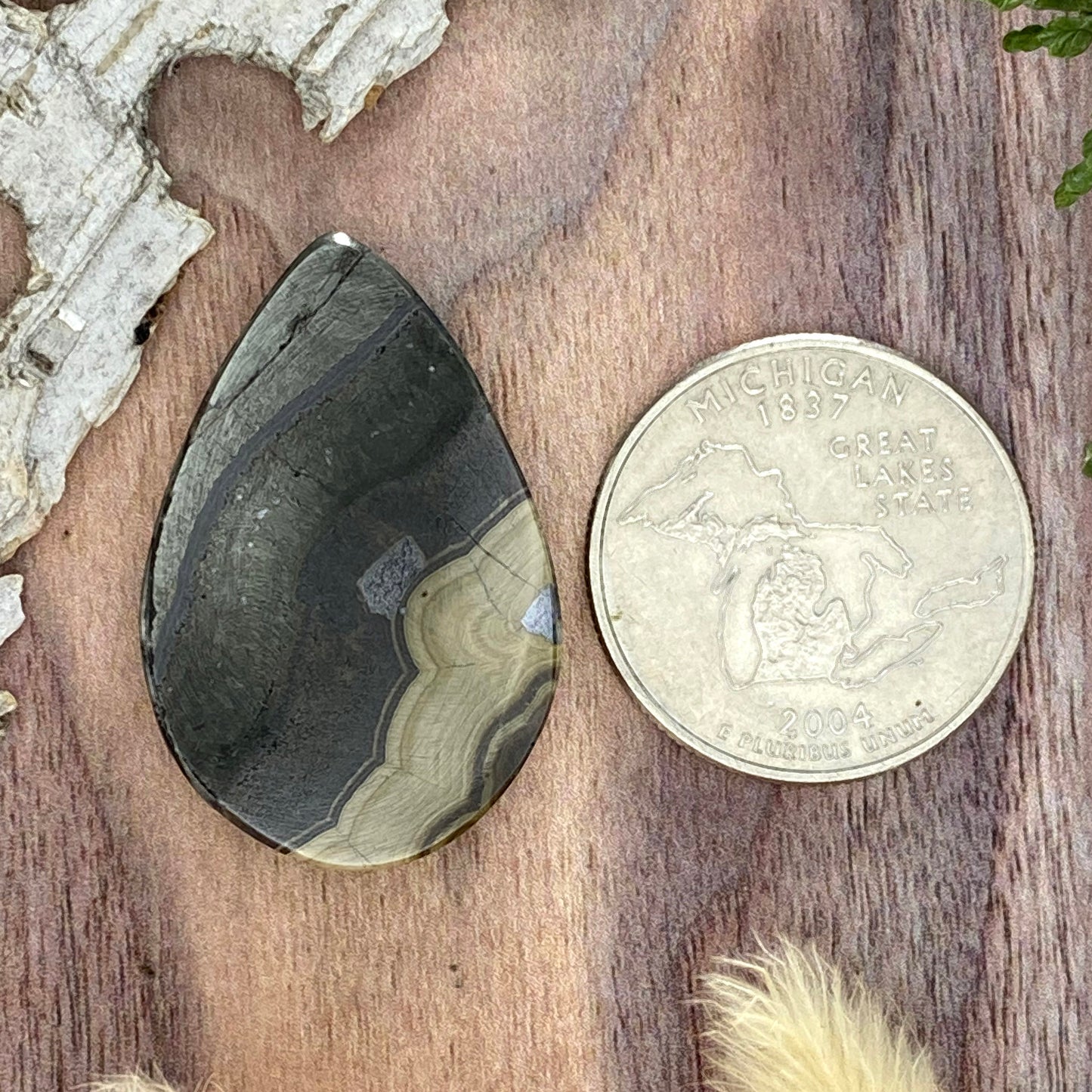 Schalenblende Cabochon Back View - Stone Treasures by the Lake