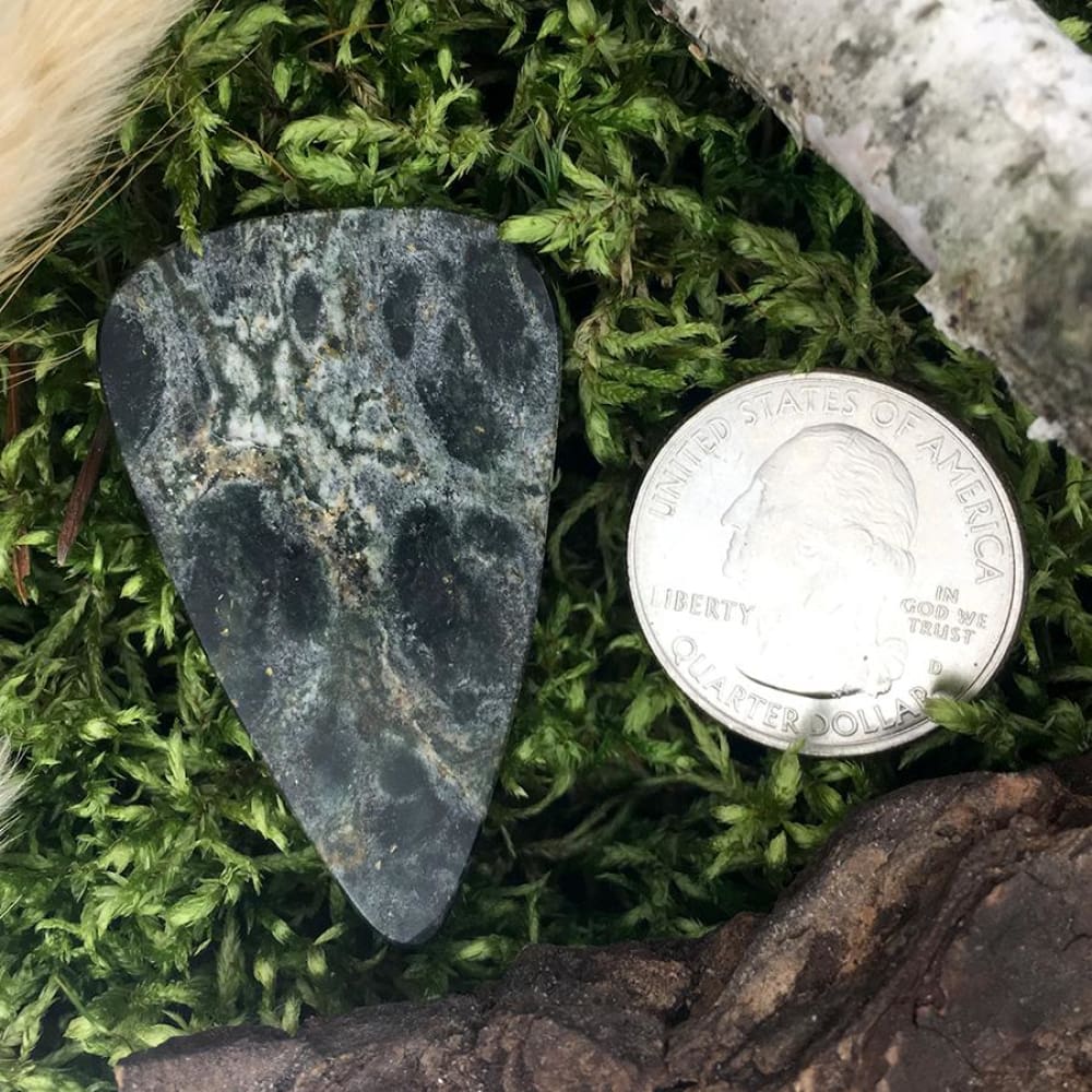 Kambaba Jasper Cabochon - Stone Treasures by the Lake
