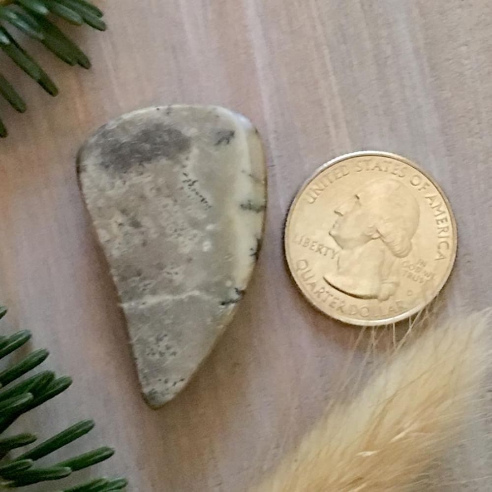 Trapper Creek Dendritic Agate Stone Cabochon - Stone Treasures by the Lake