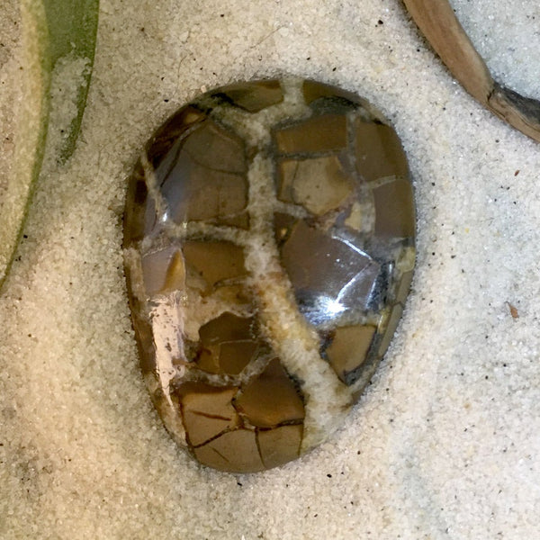 Septarian - Stone Treasures by the Lake