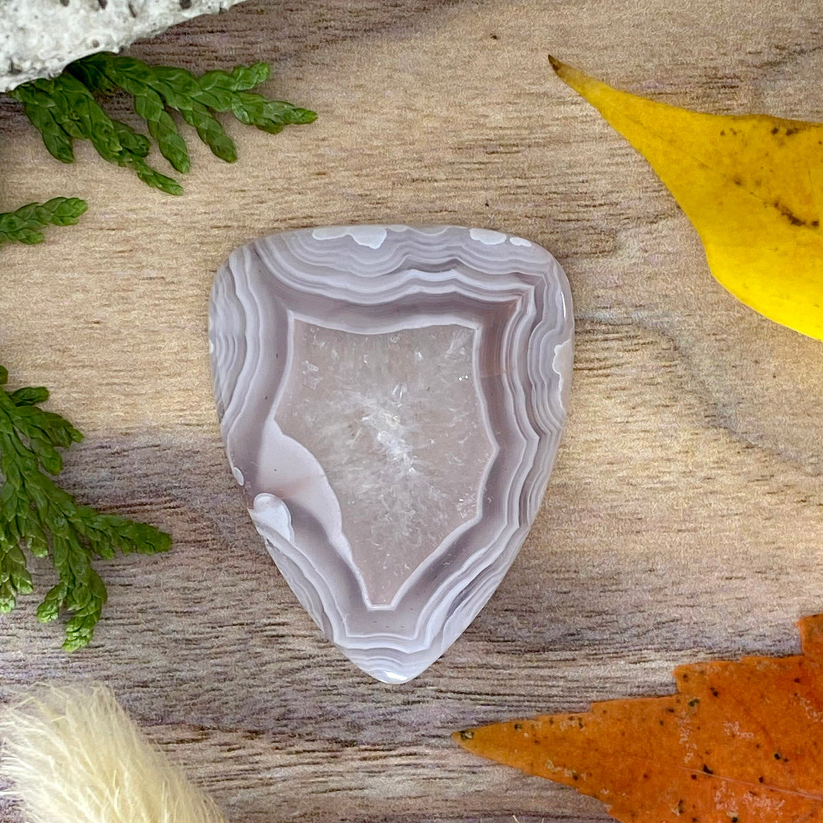 Agua Nueva Agate - Stone Treasures by the Lake