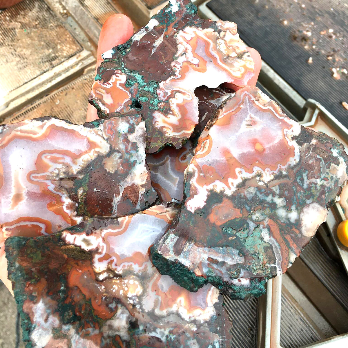 Apple Valley Lace Agate - Stone Treasures by the Lake