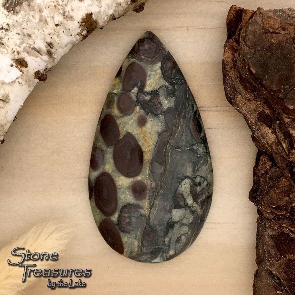 Bristlecone Pine Oolytic Limestone - Stone Treasures by the Lake