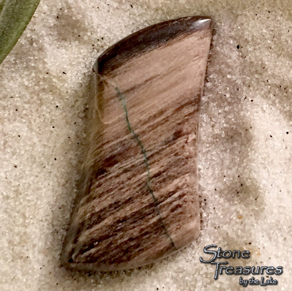 Colla Wood Petrified Wood - Stone Treasures by the Lake