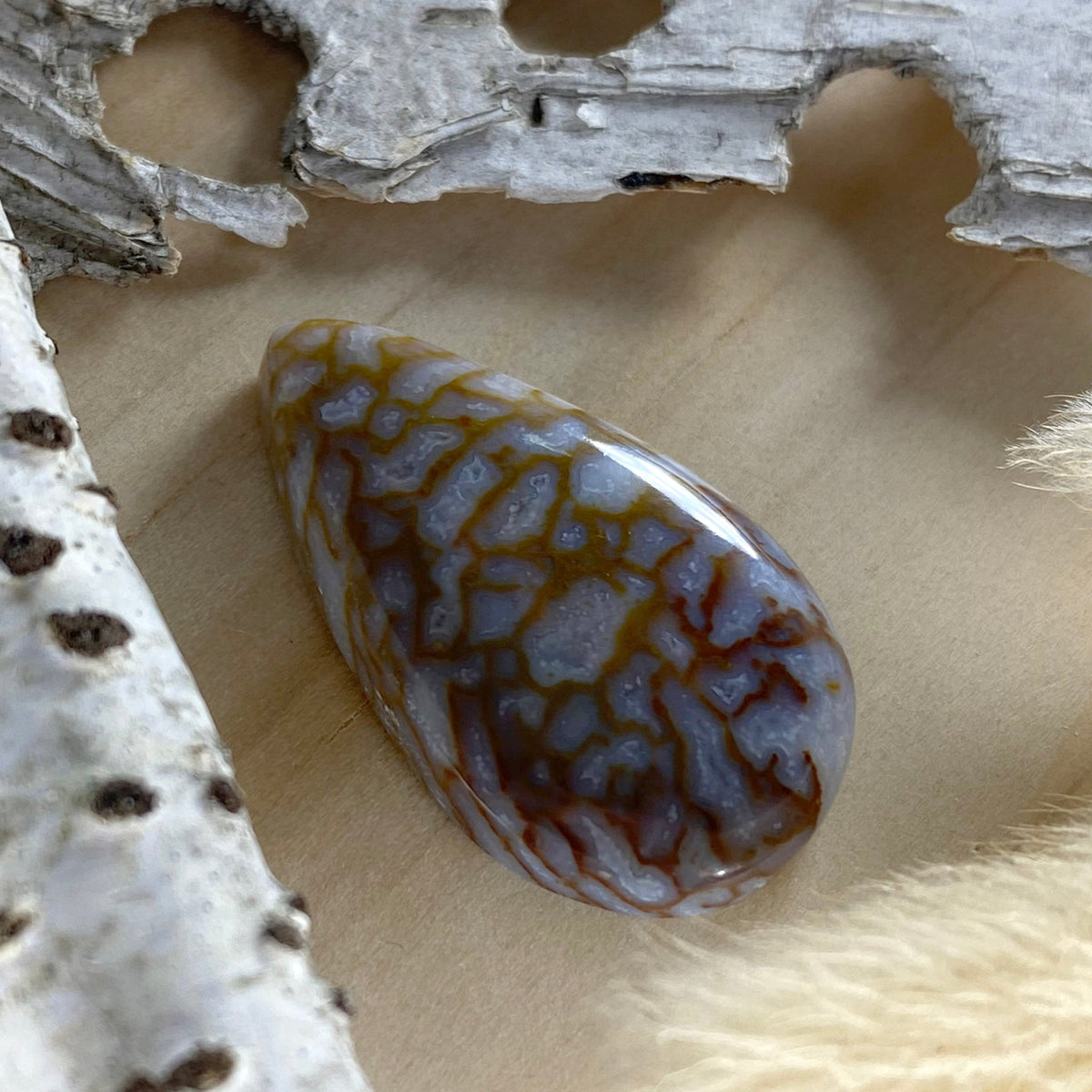 Dinosaur Bone - Stone Treasures by the Lake