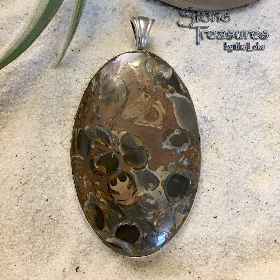 Fossil Hash - Stone Treasures by the Lake
