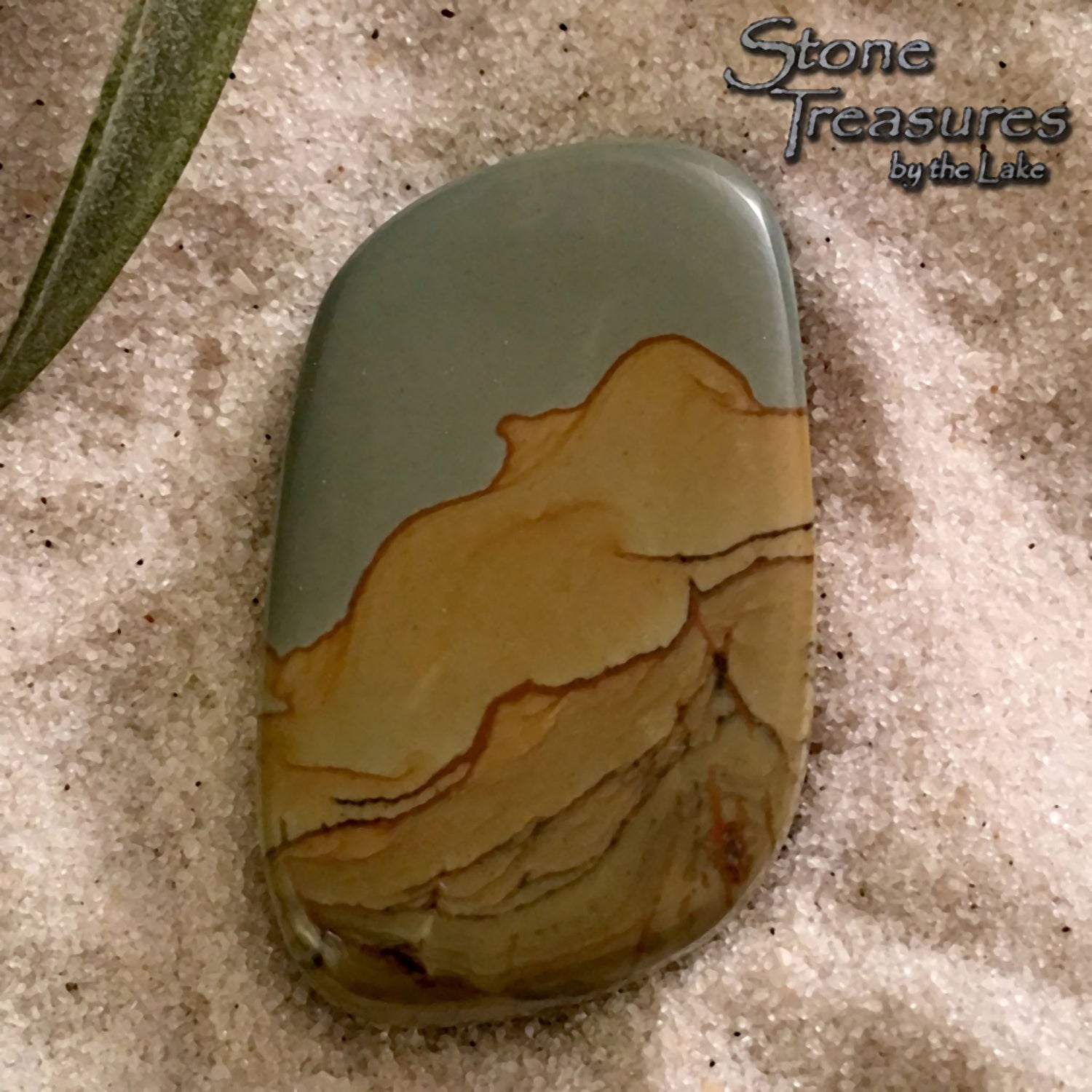 Owyhee Picture Jasper - Stone Treasures by the Lake