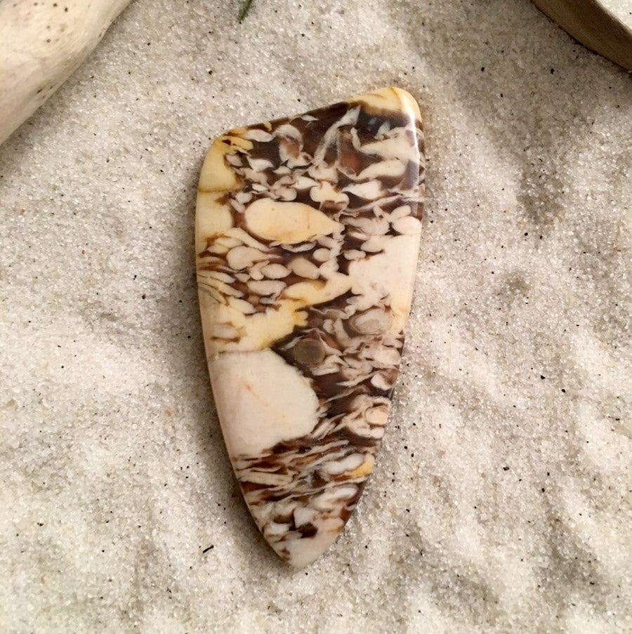Petrified Peanut Wood - Stone Treasures by the Lake