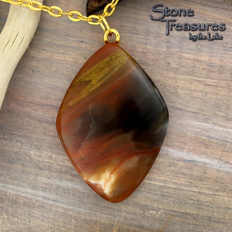 Rainbow Petrified Wood - Stone Treasures by the Lake