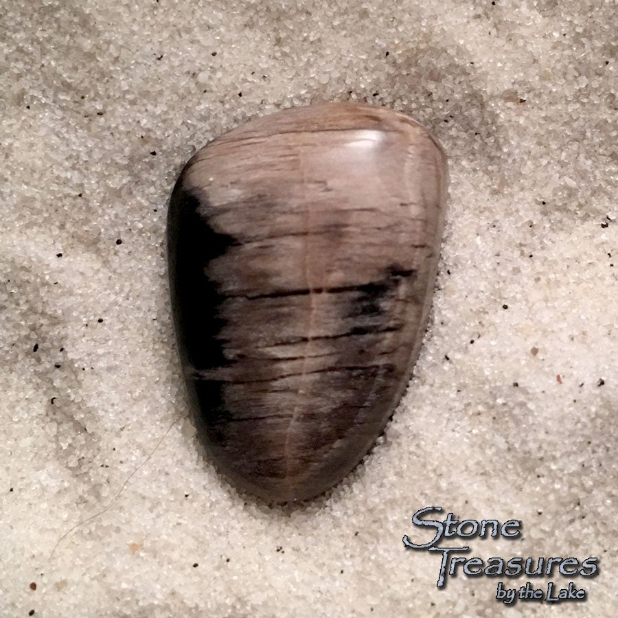 Stinkingwater Petrified Wood - Stone Treasures by the Lake