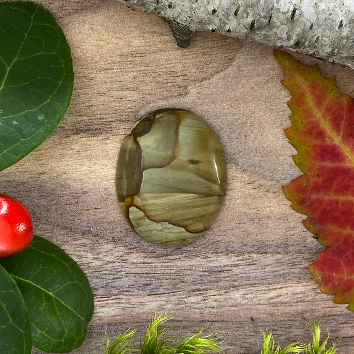 Succor Creek Picture Jasper - Stone Treasures by the Lake