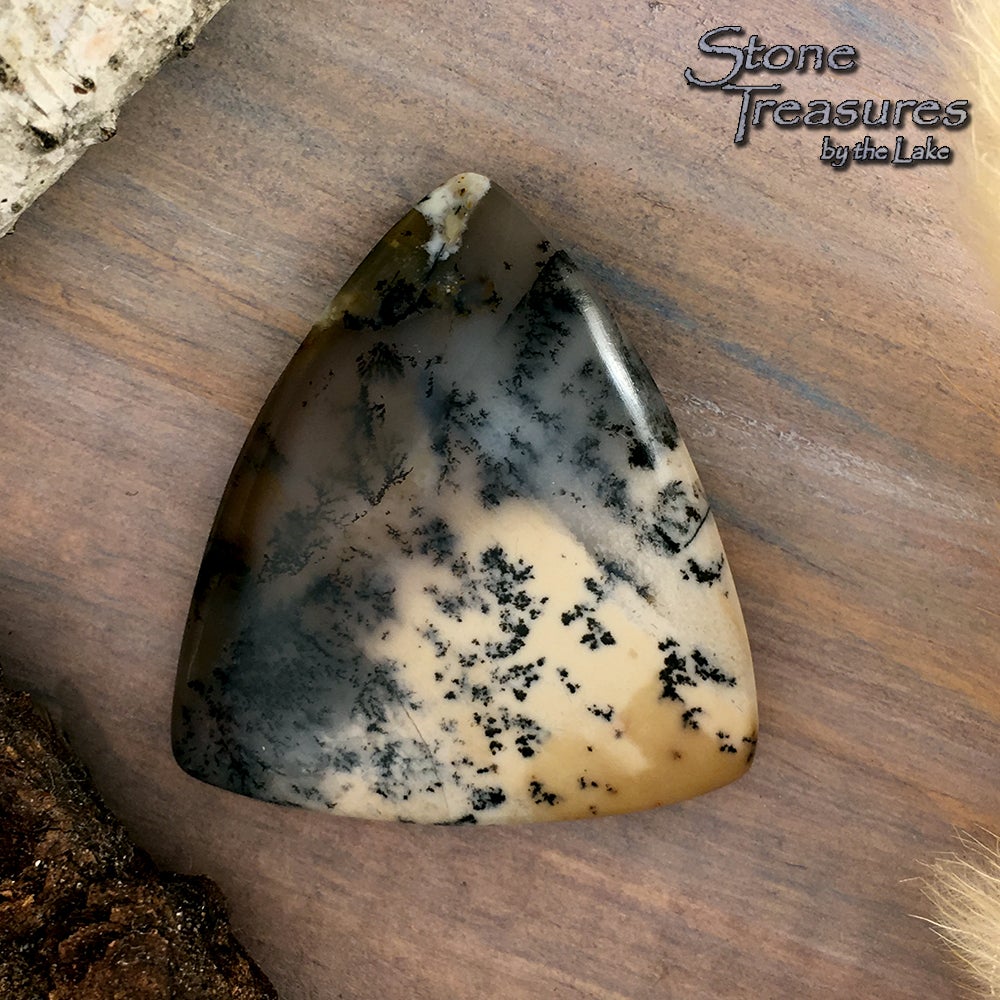 Trapper Creek Dendritic Agate - Stone Treasures by the Lake