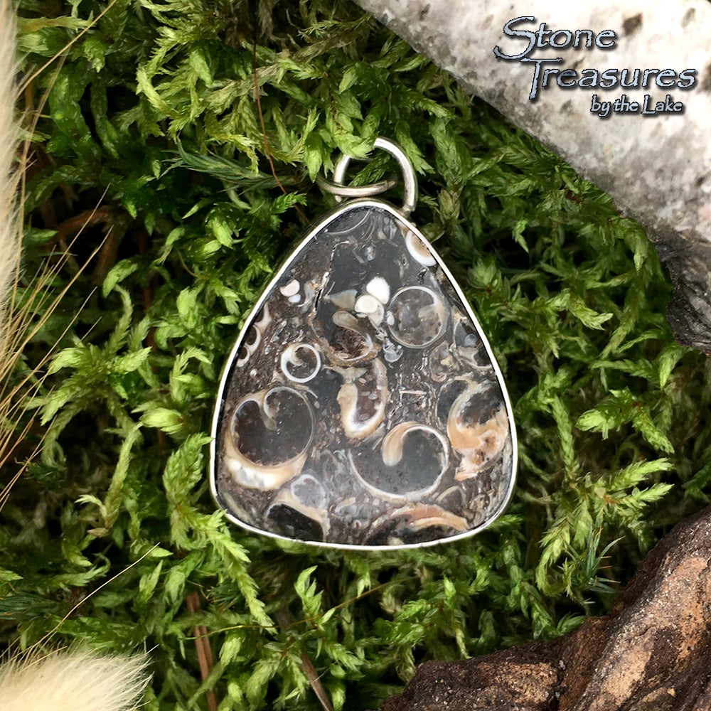 Turritella Agate - Stone Treasures by the Lake