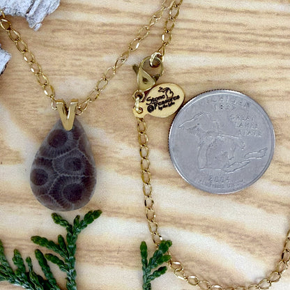Petoskey Stone Pendant Necklace - Stone Treasures by the Lake